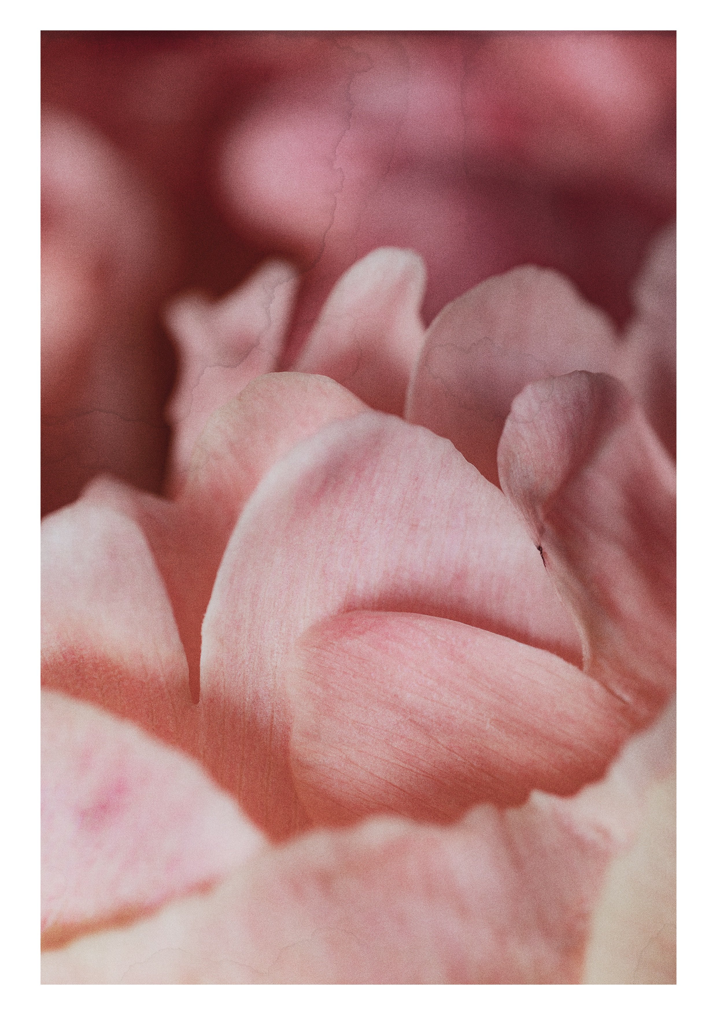 Fig.08.jpg