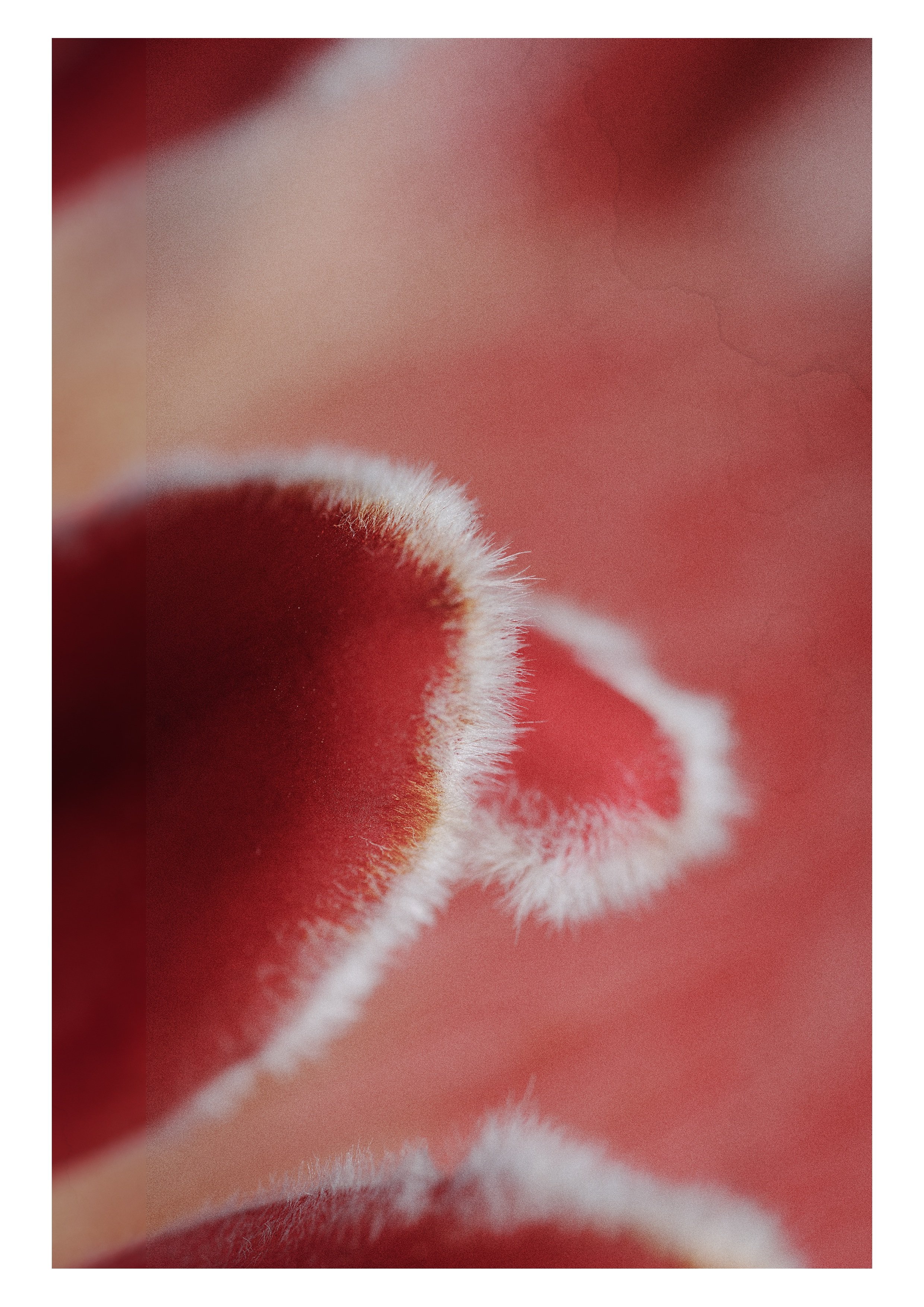 Fig.10.jpg