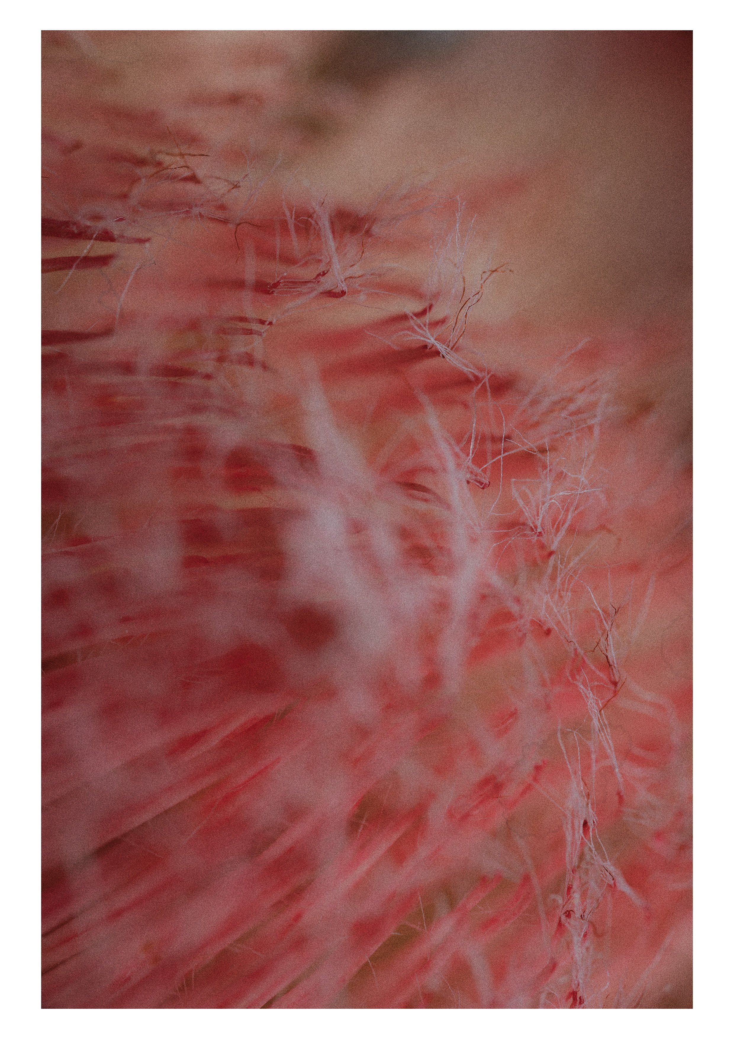 Fig.37.jpg
