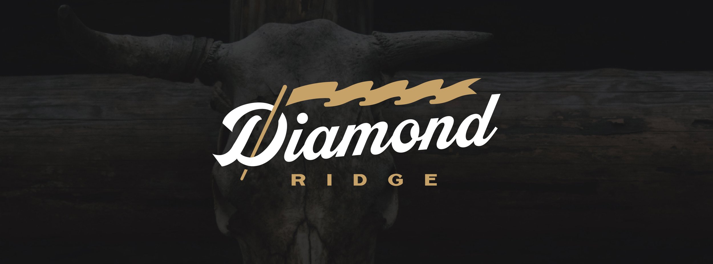 Diamond Ridge Provisions Logo Design Banner