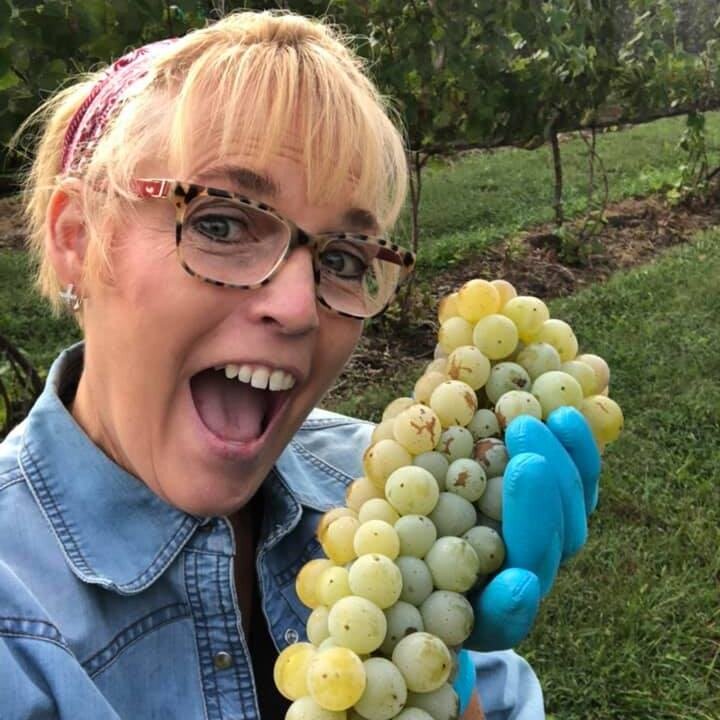 Hiking, kayaking are two of Belinda's favorite ways to stay active. But an annual grape picking event at a local winery is always fun as wll. 
Find something that brings you joy and go do it!
 #BeActive #womenshealth #hypertension #nusoundhearingcare