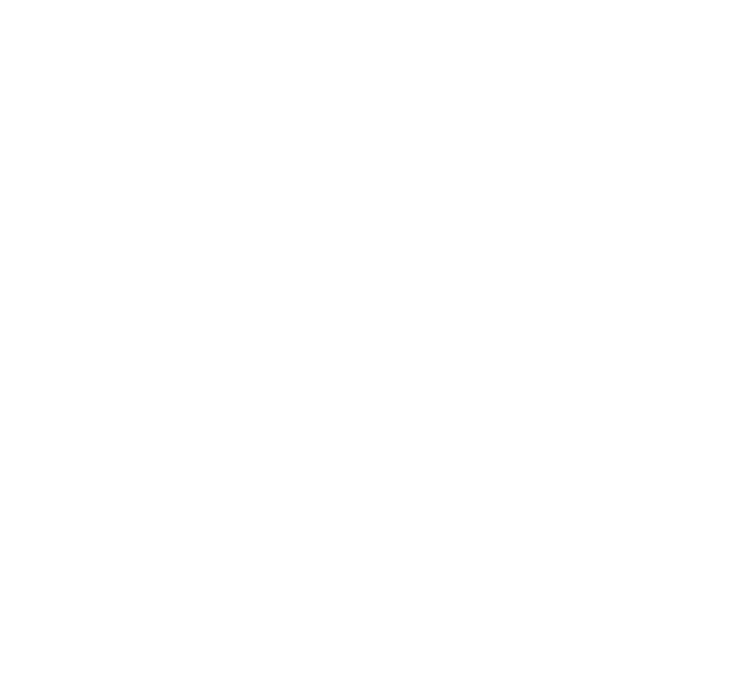SOUTHERN FRIED FILM FESTIVAL