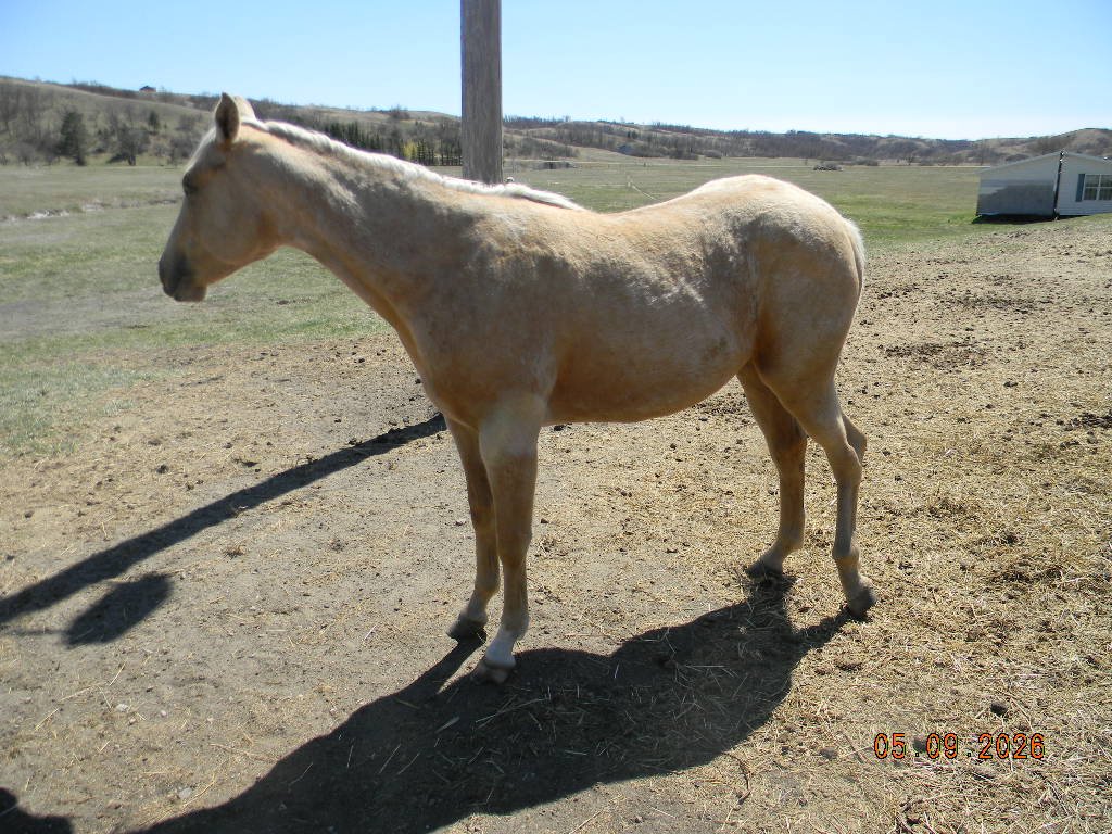 DSCN1561.JPG