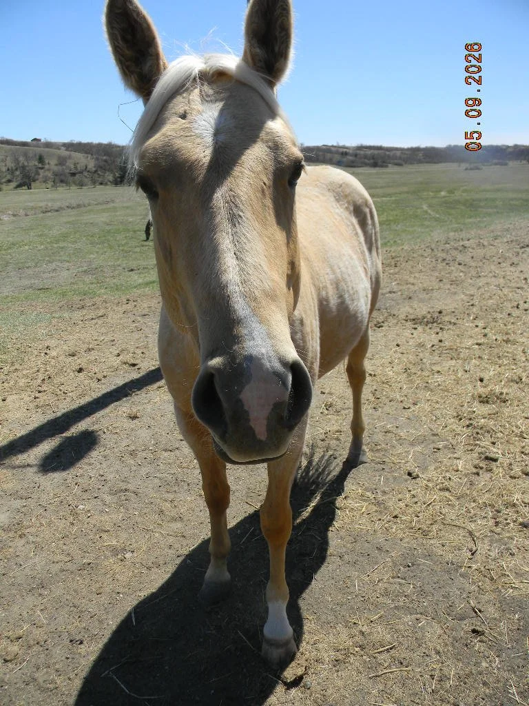 DSCN1563.JPG