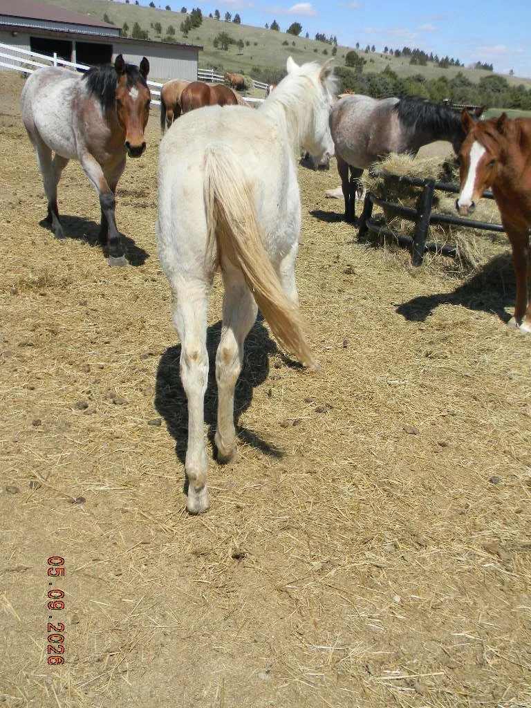 DSCN1543.JPG