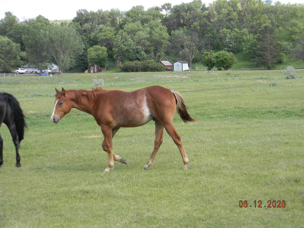 DSCN1655.JPG
