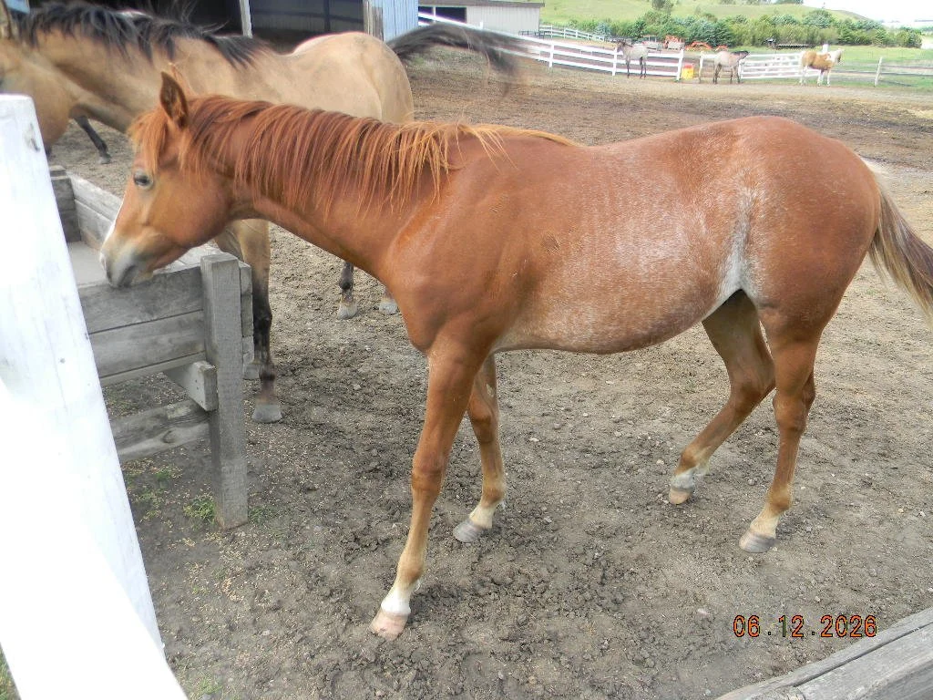 DSCN1659.JPG