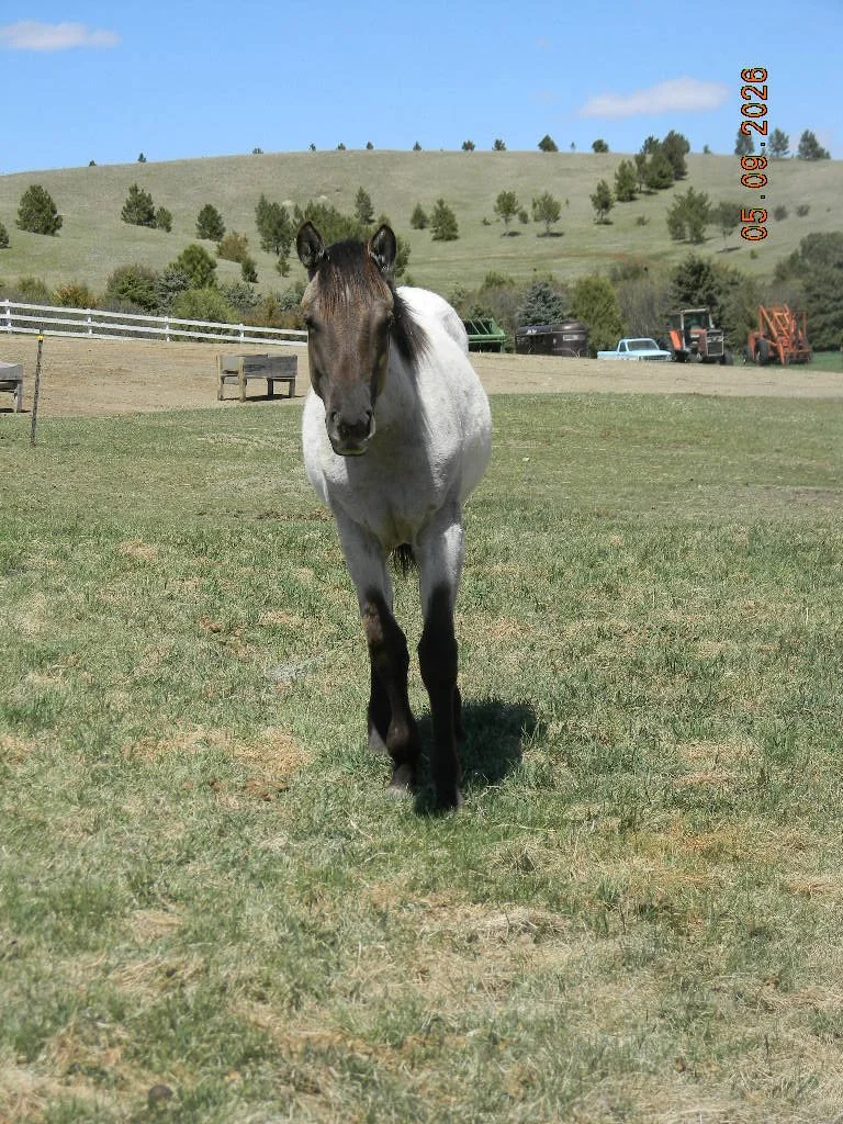 DSCN1556.JPG