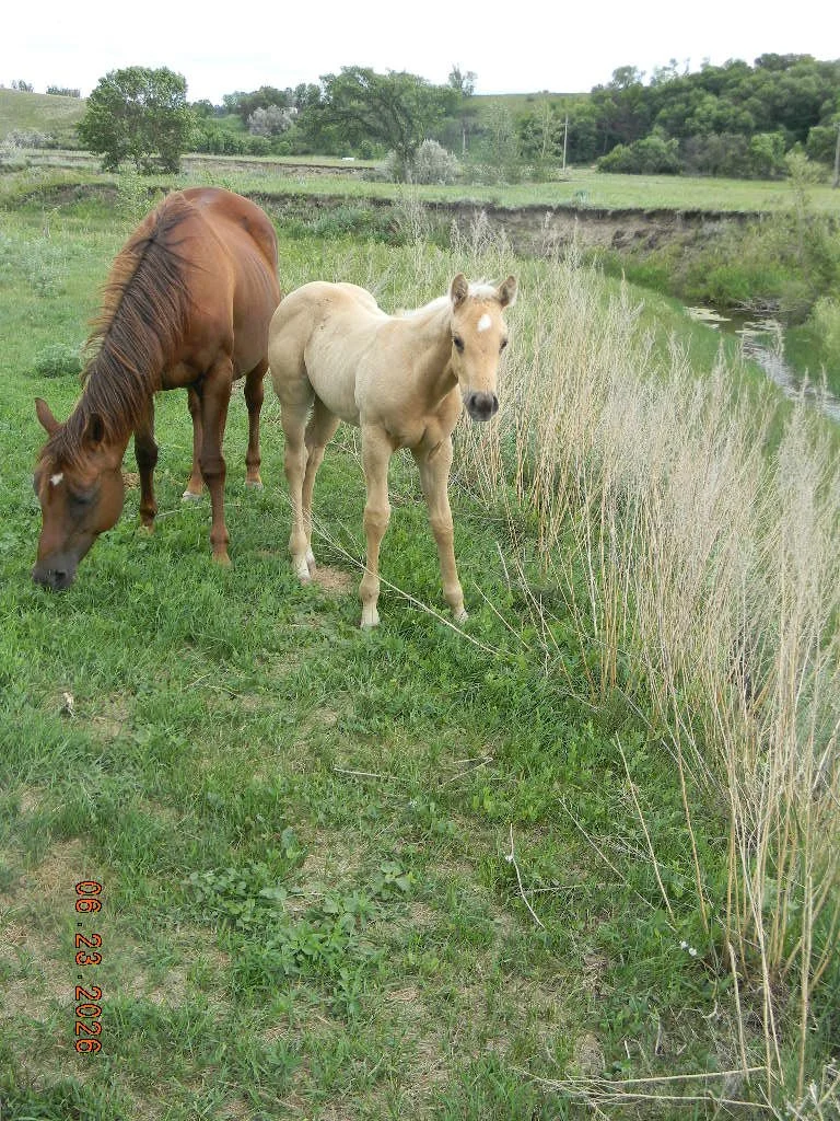 DSCN1700.JPG