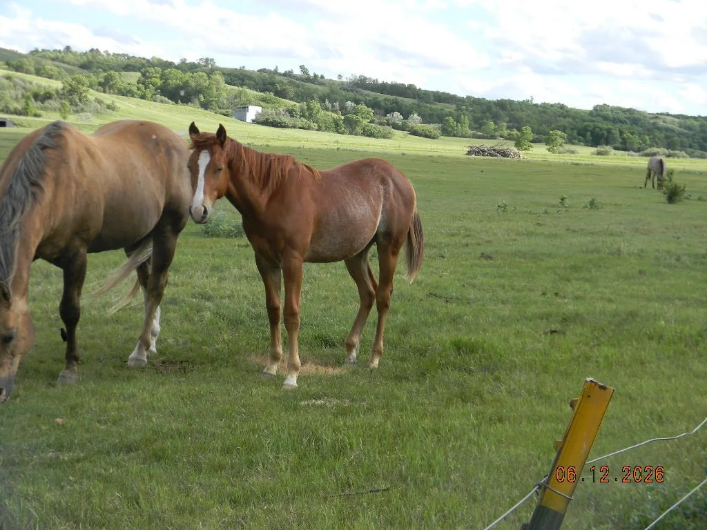 DSCN1653.JPG