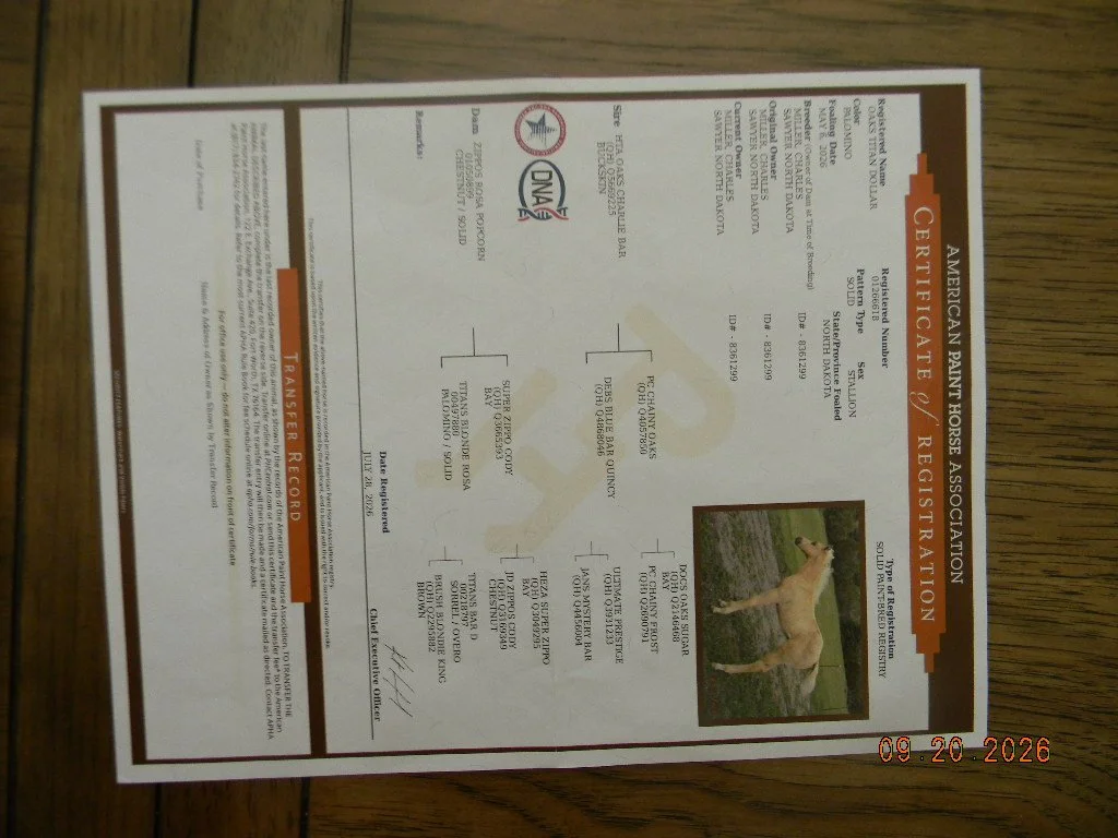 DSCN1866.JPG