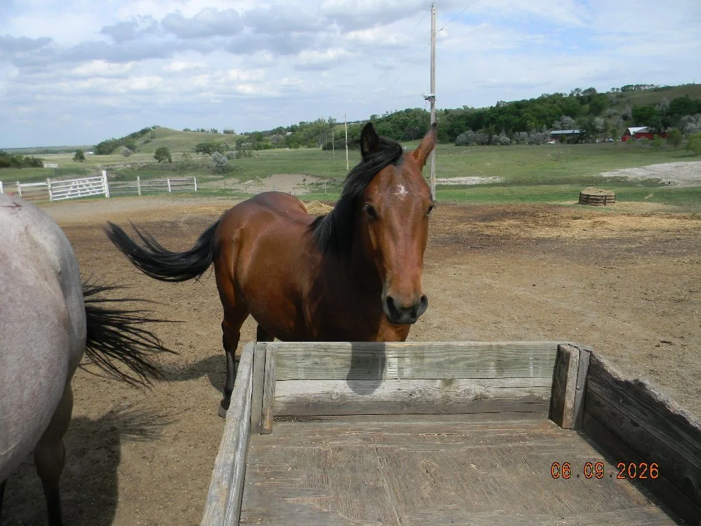 DSCN1640.JPG