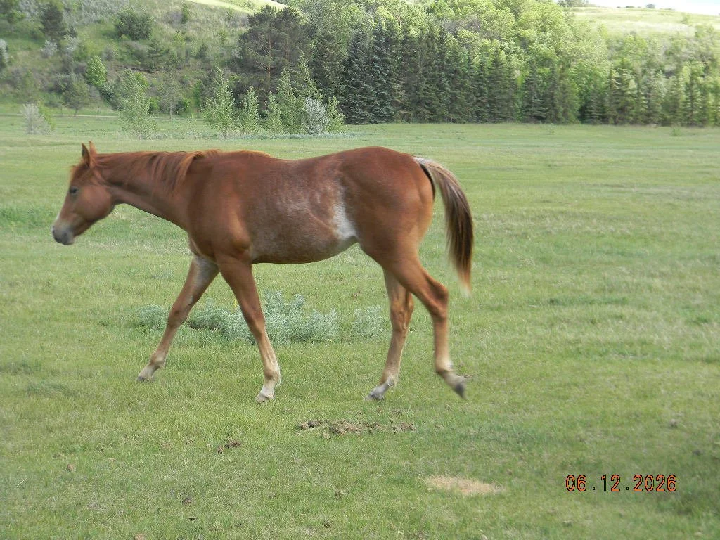 DSCN1654.JPG