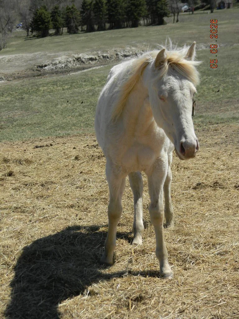 DSCN1542.JPG