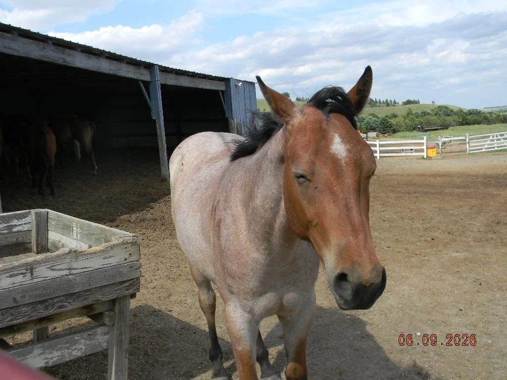 DSCN1643.JPG