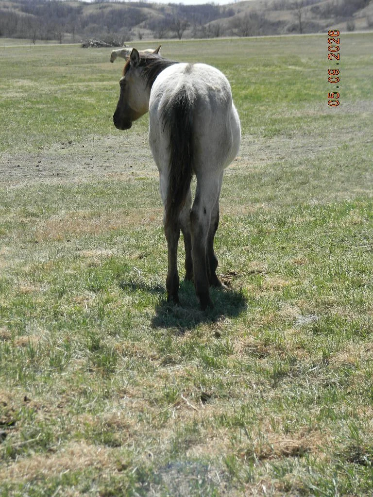 DSCN1551.JPG