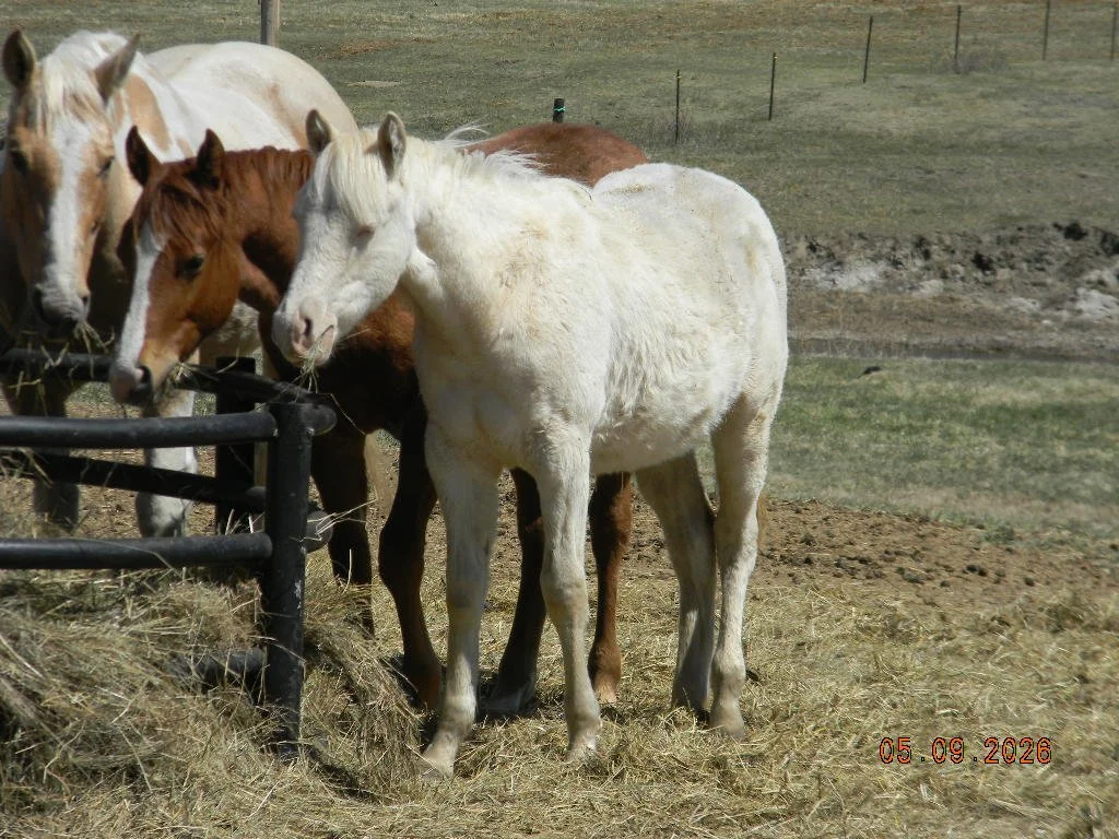 DSCN1535.JPG