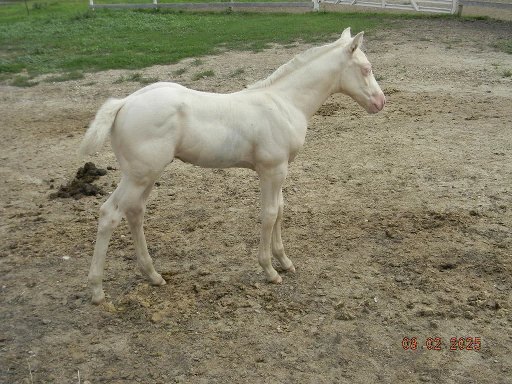 DSCN1451.JPG