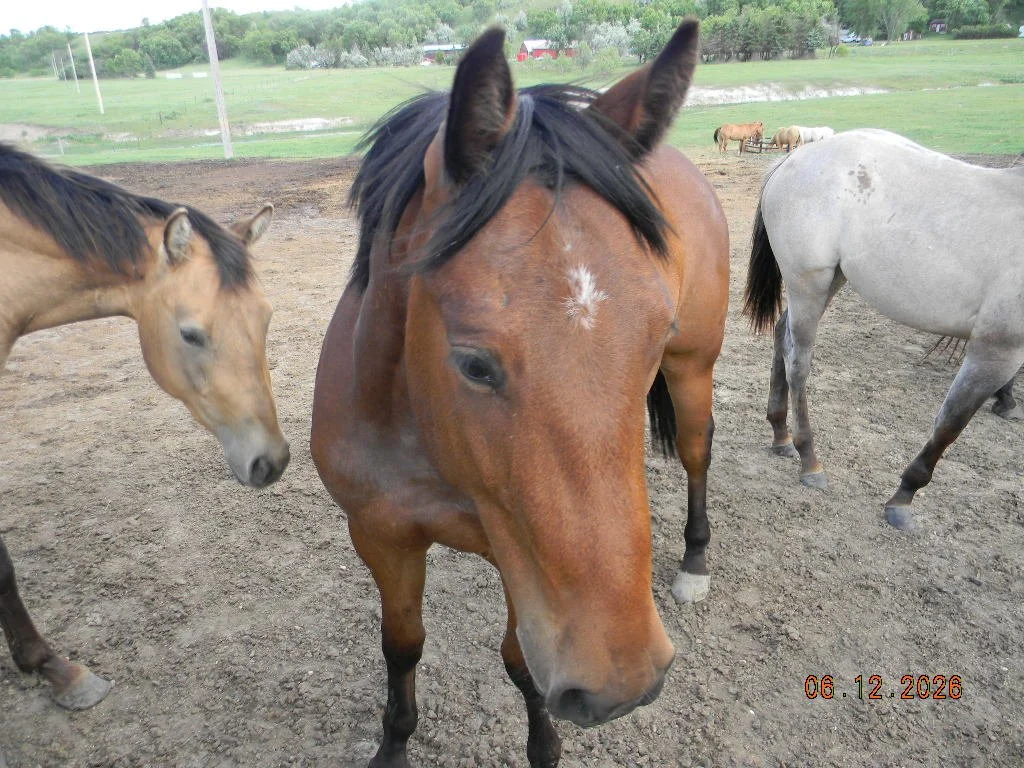 DSCN1664.JPG