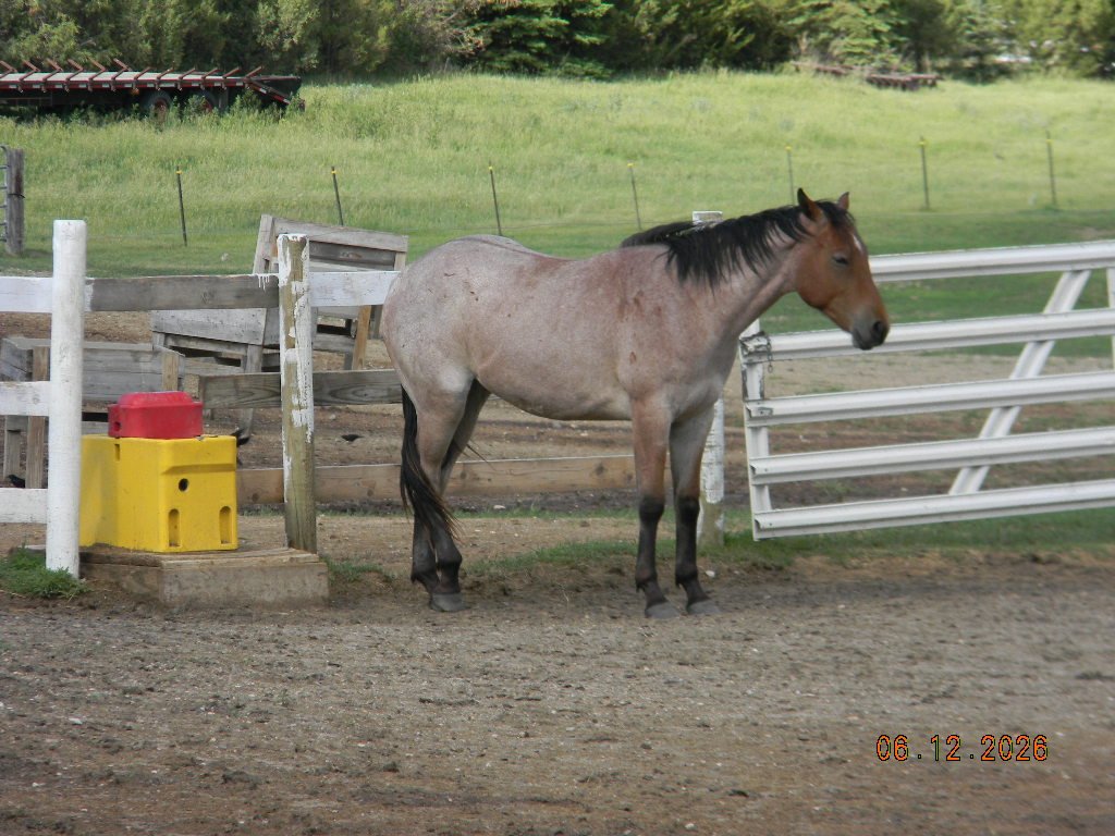 DSCN1661.JPG