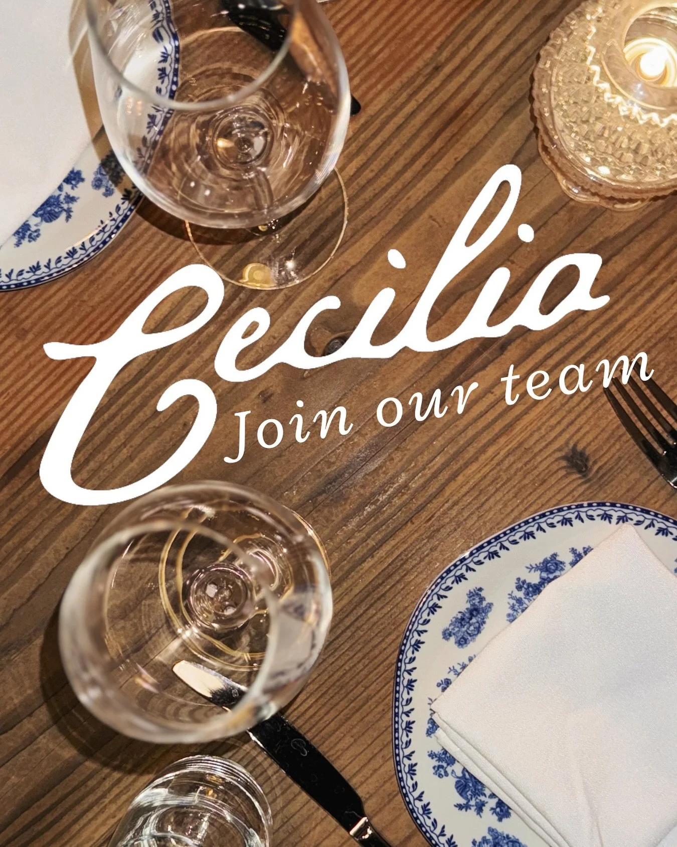 We&rsquo;re looking for grow our team! Hiring bartenders, servers and hosts for our dinner crew 🌙 apply through the link in our bio or bring in a resume between 2-5 this week! We&rsquo;d love to meet you 🤍