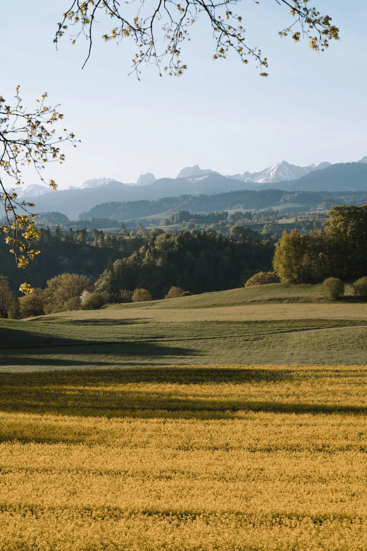 Berge_Landschaftsfotografie.jpg