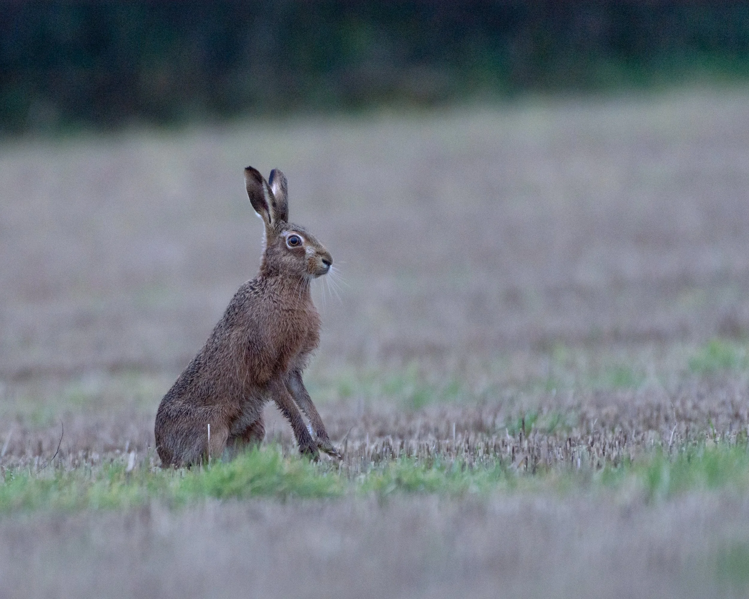 A Bad Photography Day