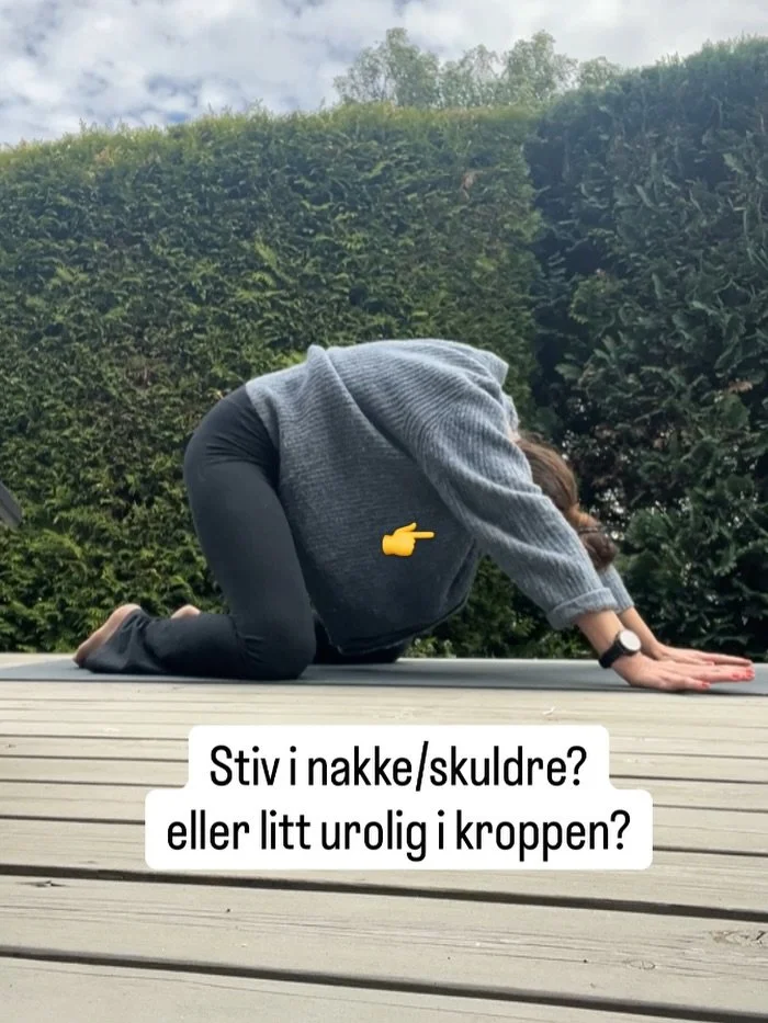 Gratis live-yoga onsdag kl.20.00‼️‼️‼️

N&aring;r du er stiv. 
N&aring;r du trenger komme i gang igjen. 
N&aring;r du trenger pause for det er litt mye. 
Eller du trenger en annen type sk&aring;nsom &laquo;trening&raquo;.

Hvem av disse er deg? 

BON