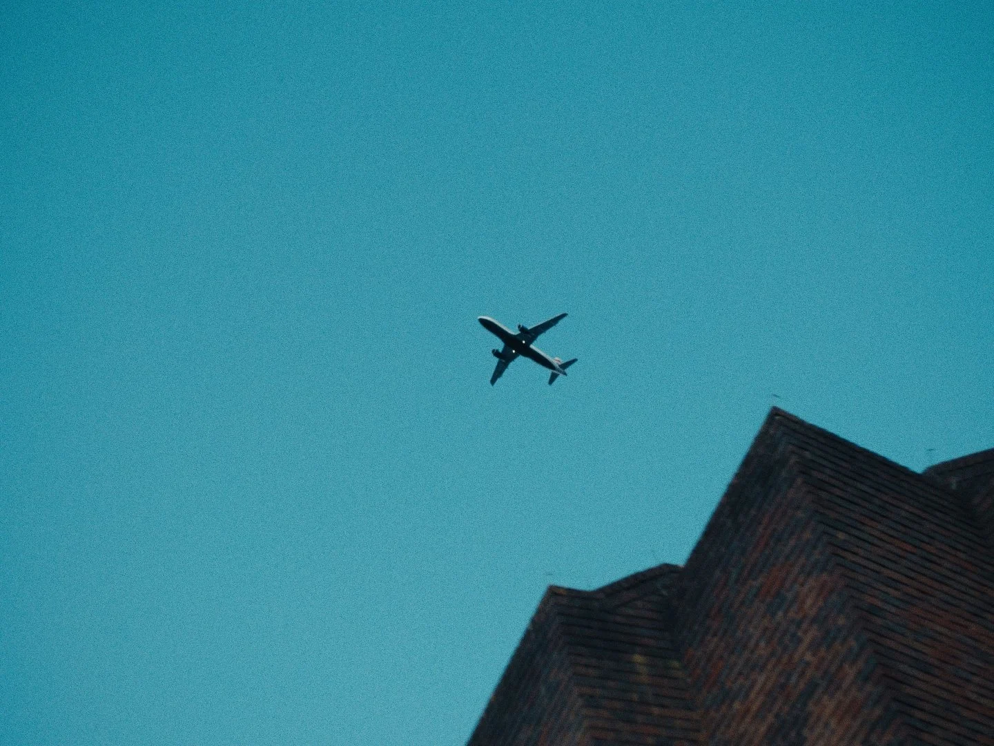 Still 2026-01-16 1551541_1.1.1.jpg