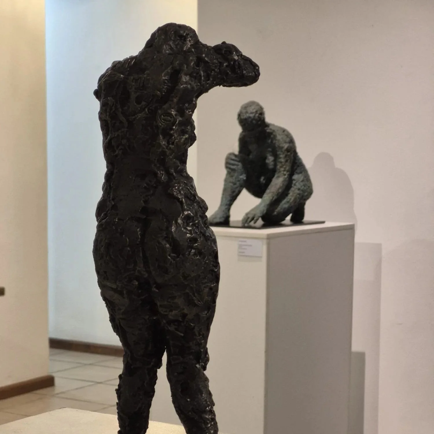 IBI Art Gallery, Johannesburg