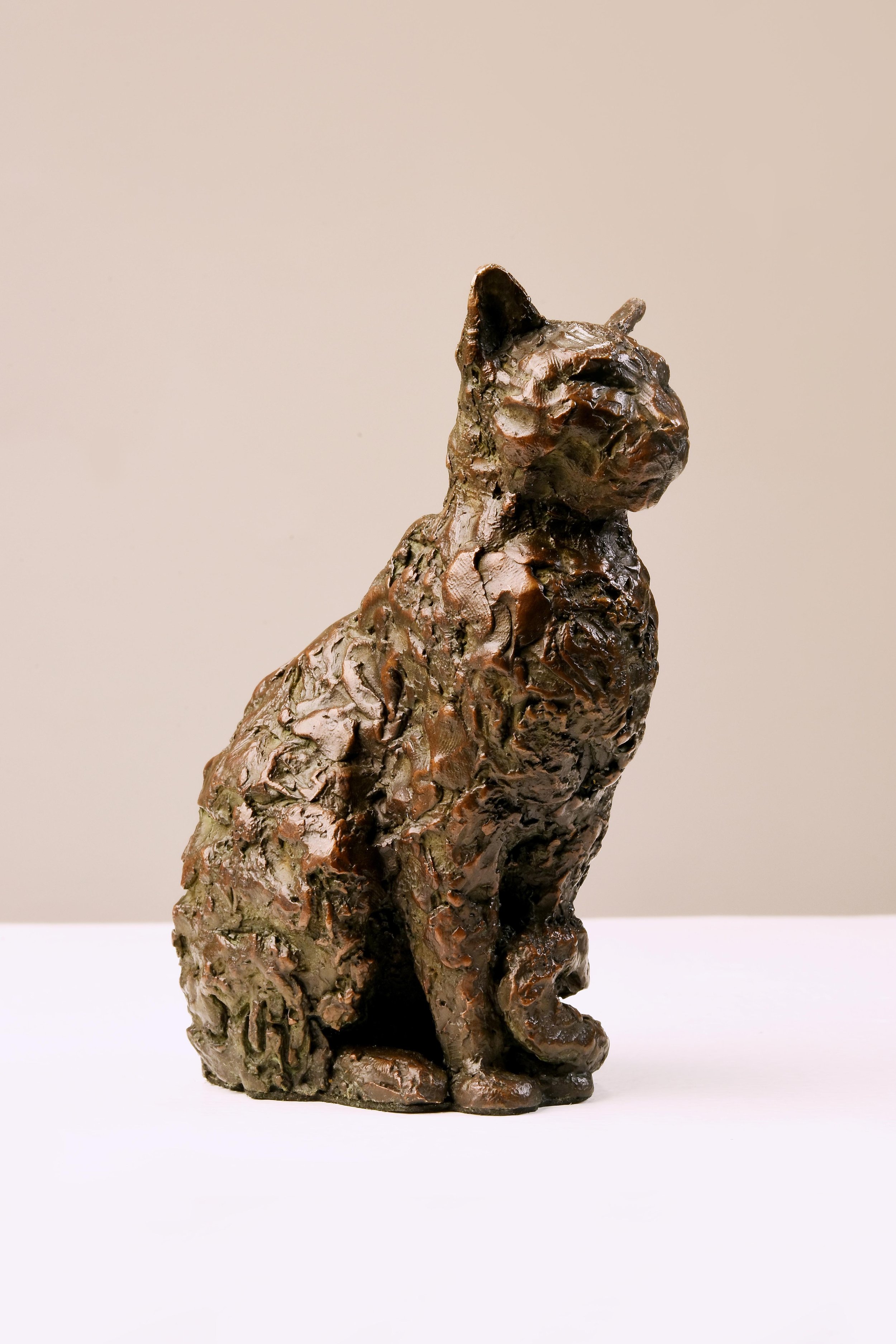 Cat III (Image 7 of 7).jpg