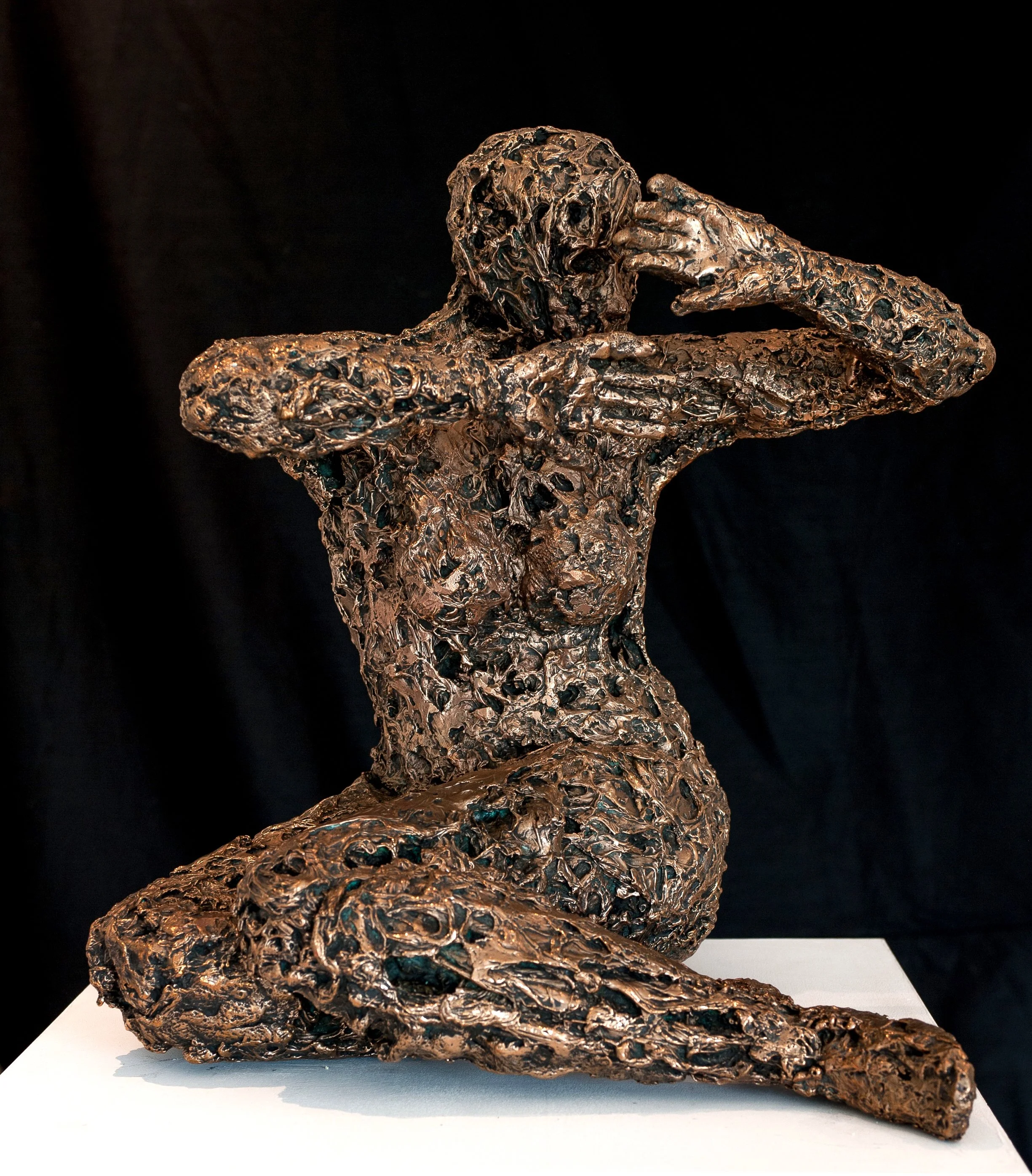 Holzer Manuela Withdrawn Shadow 2018 Ed 1:6 A.jpg