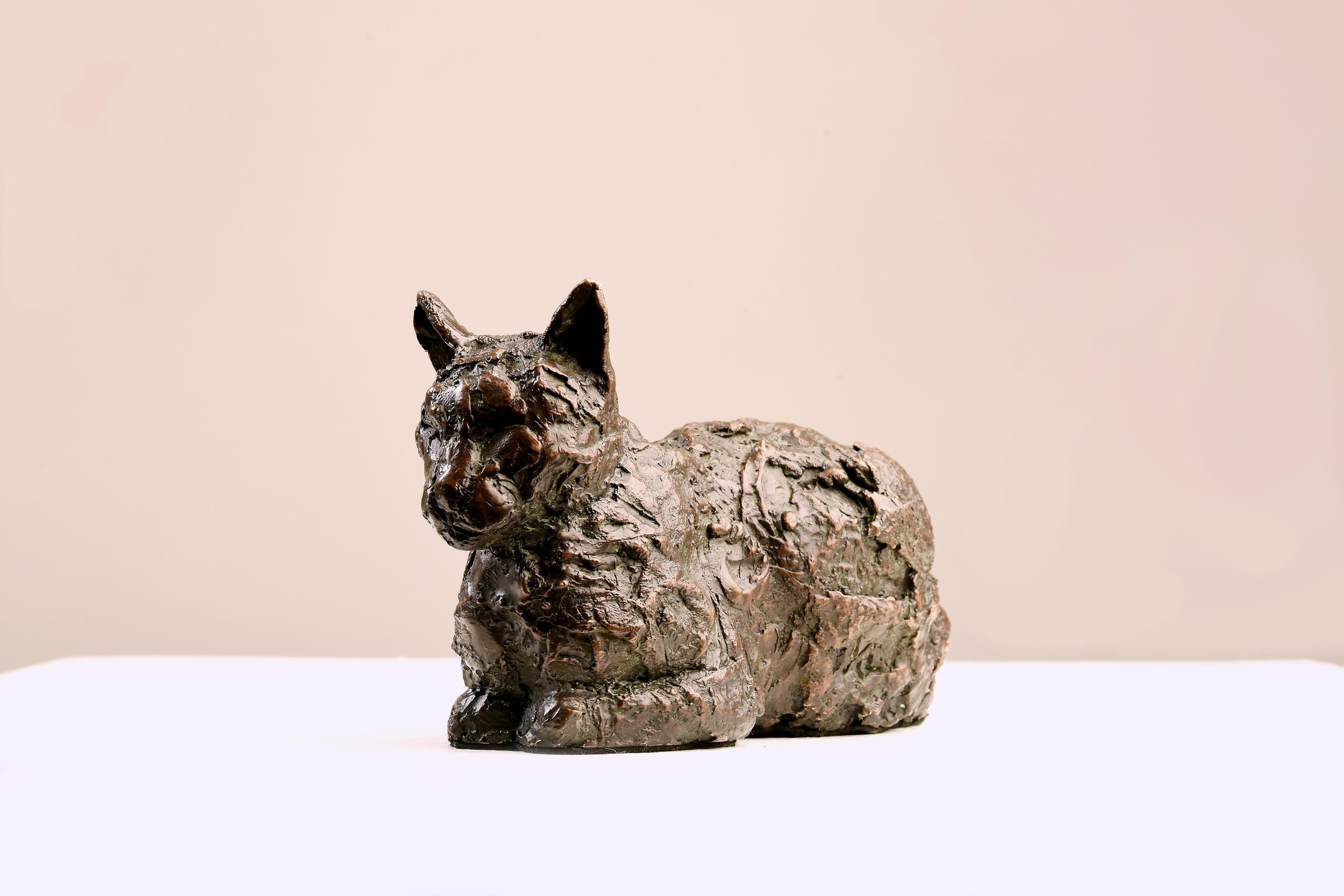 Cat II (Image 2 of 6).jpg