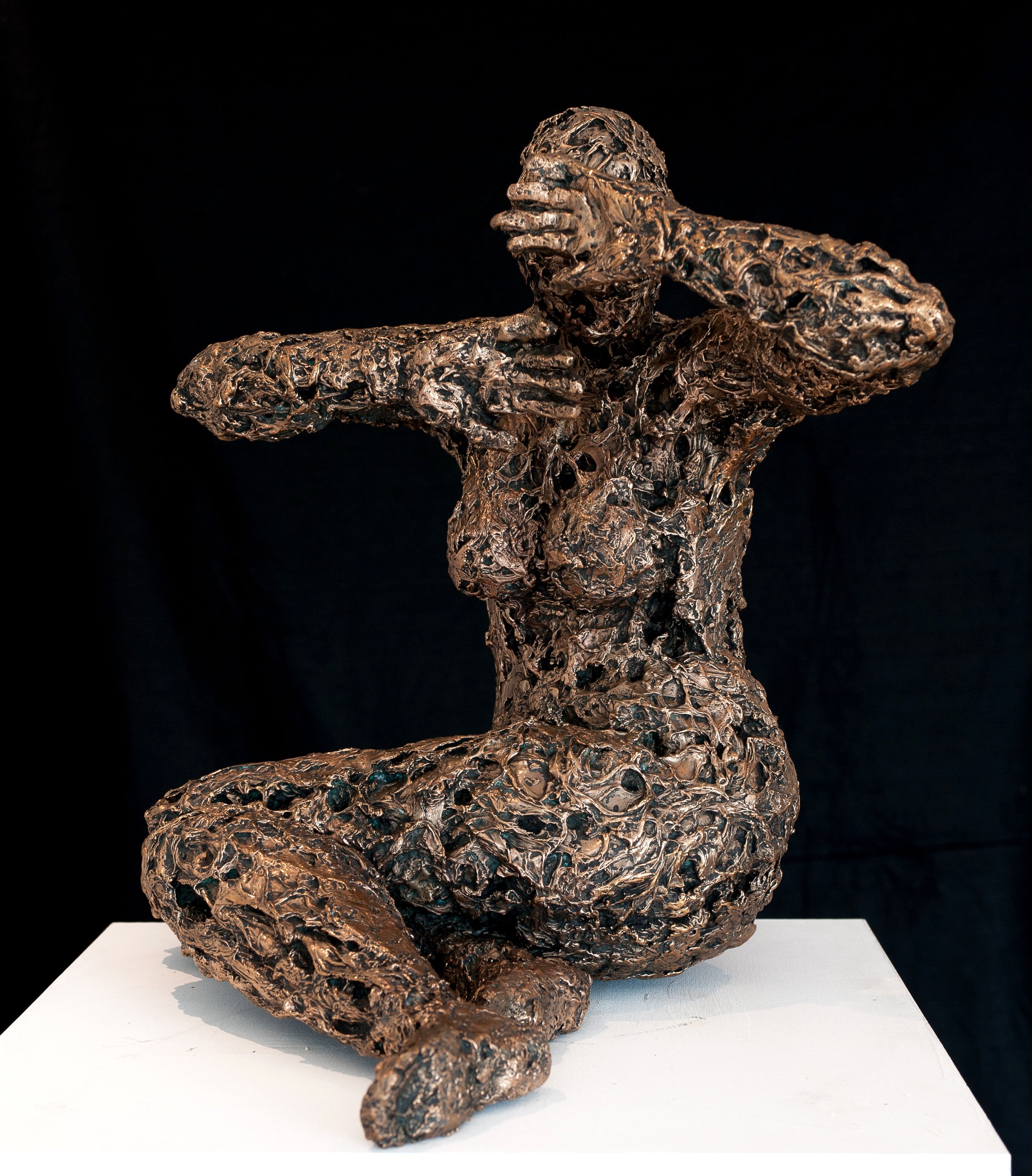 Holzer Manuela Withdrawn Shadow 2018 Ed 1:6 C.jpg