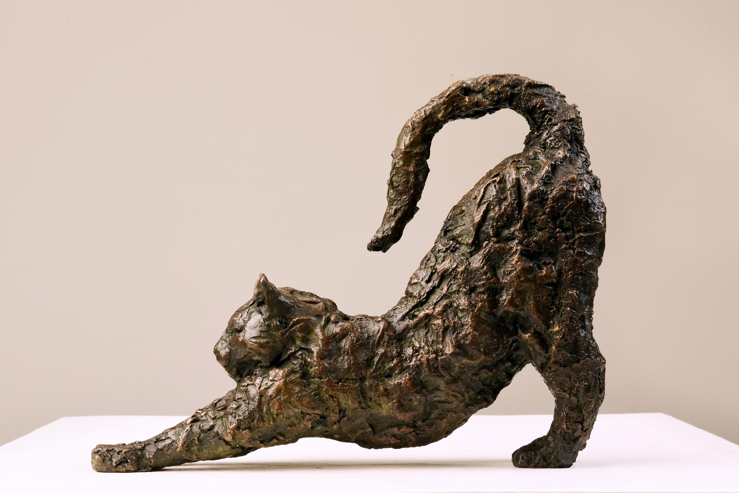 Cat I (Image 3 of 7).jpg