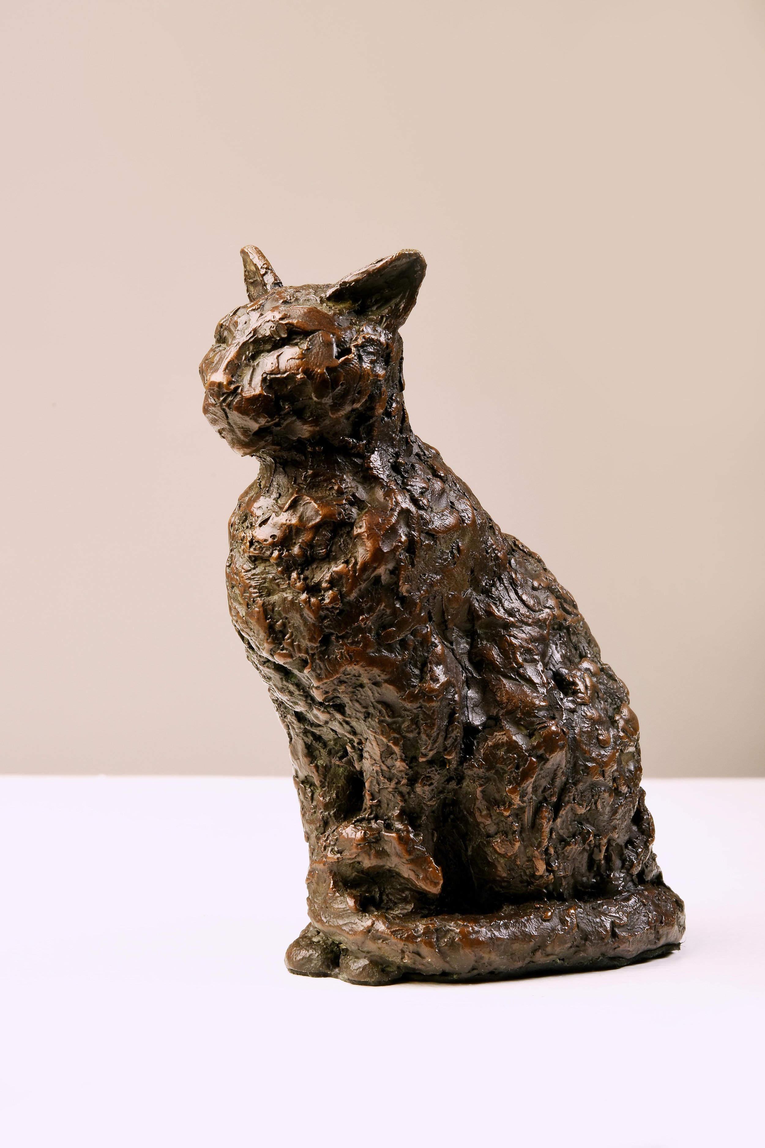 Cat III (Image 2 of 7).jpg