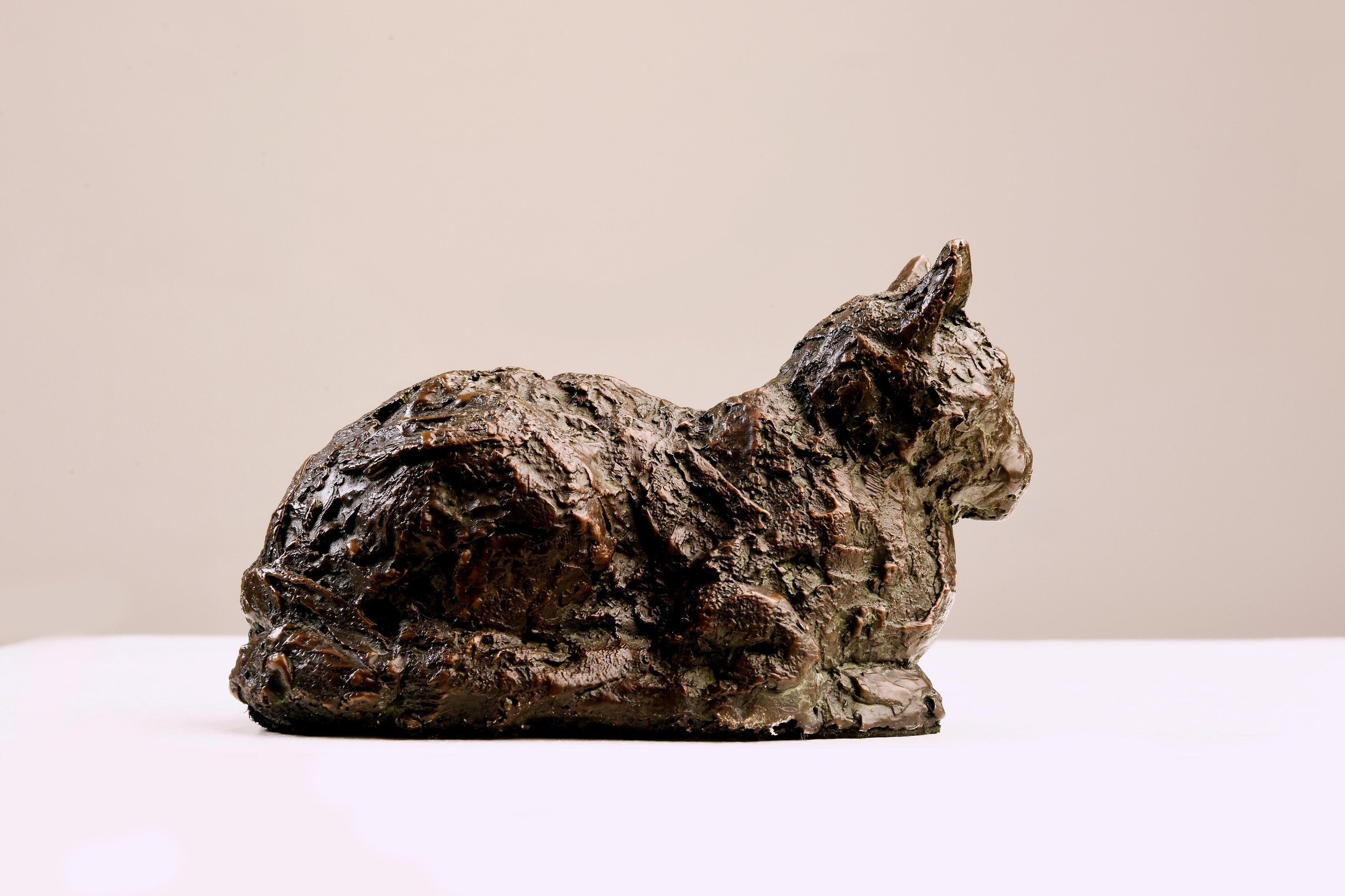Cat II (Image 4 of 6).jpg