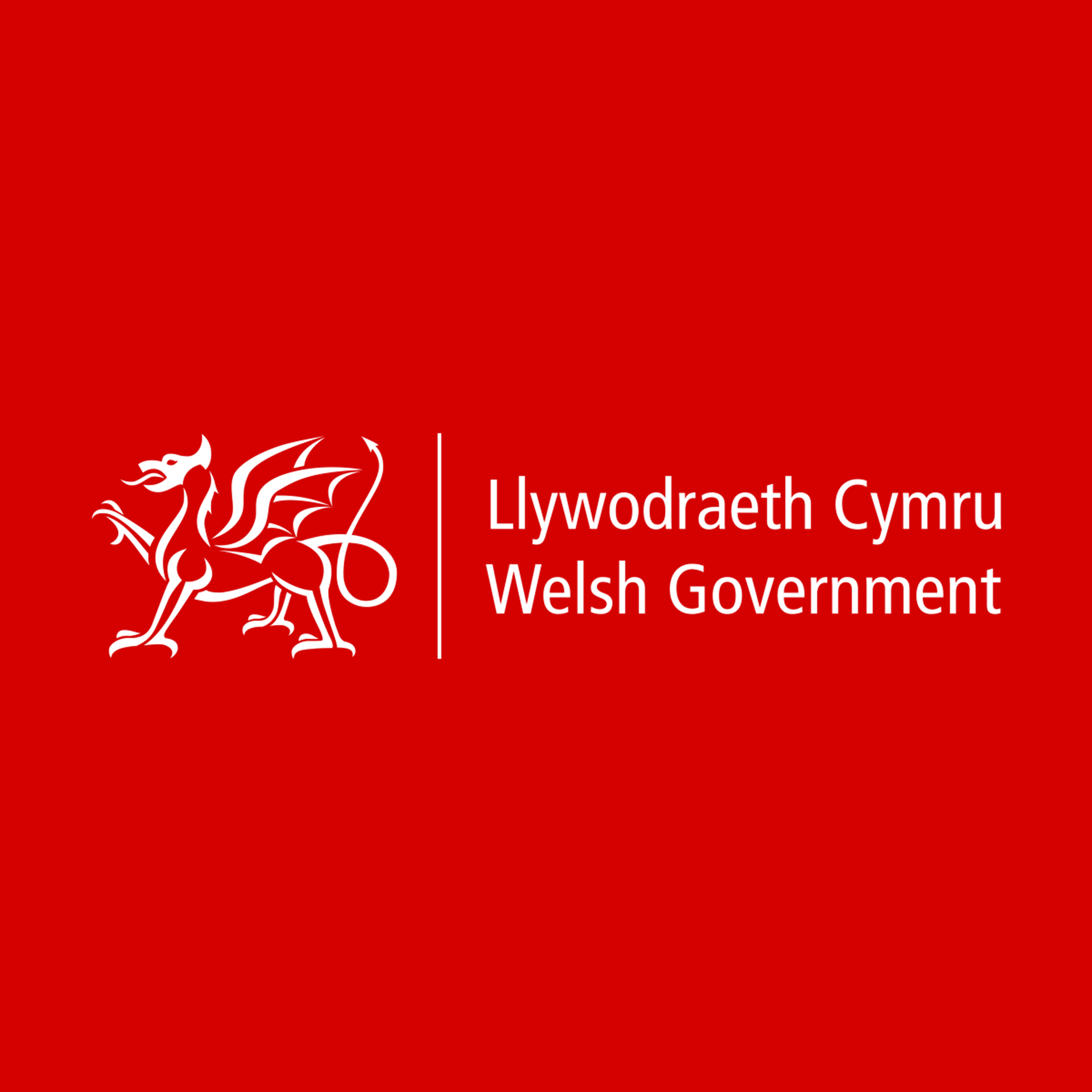 What is the Welsh Government Flexible Skills Programme?