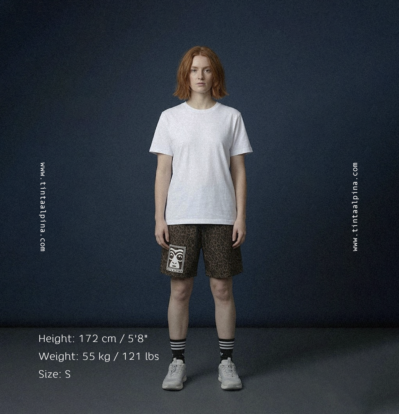 Model LIN.png