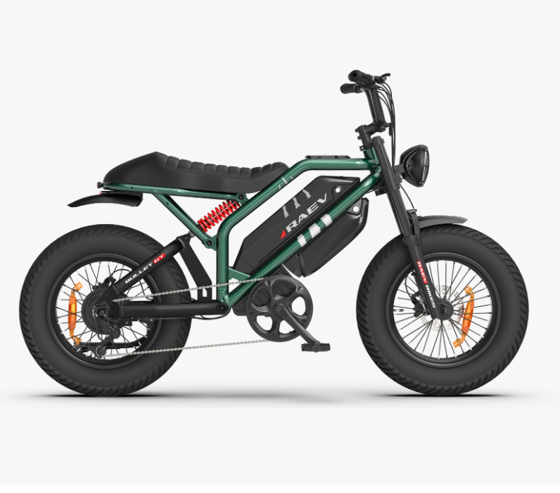 Raev Bullet X — Imaginary BikeWorks