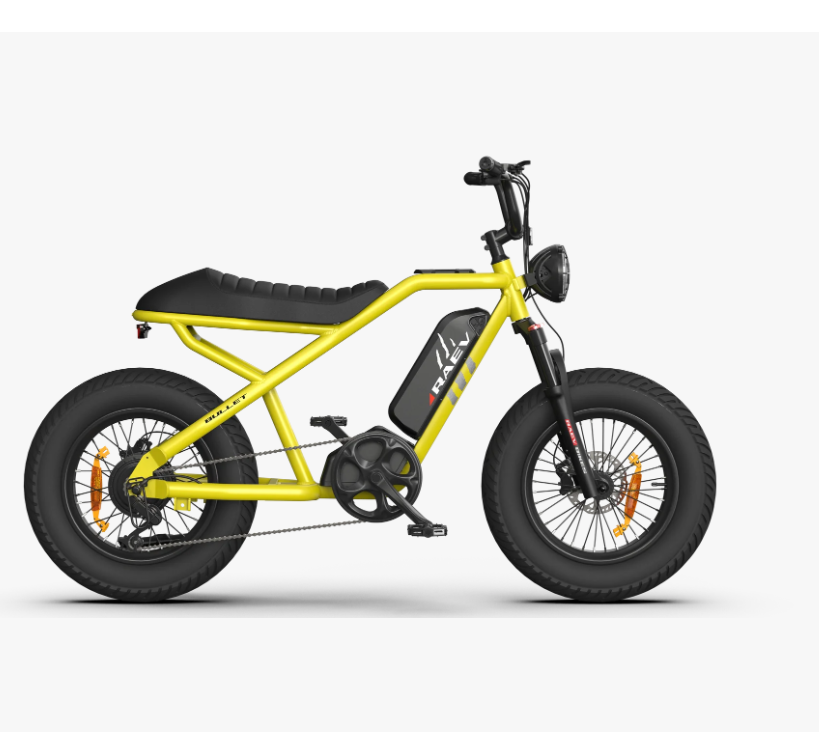 Raev Bullet X — Imaginary BikeWorks