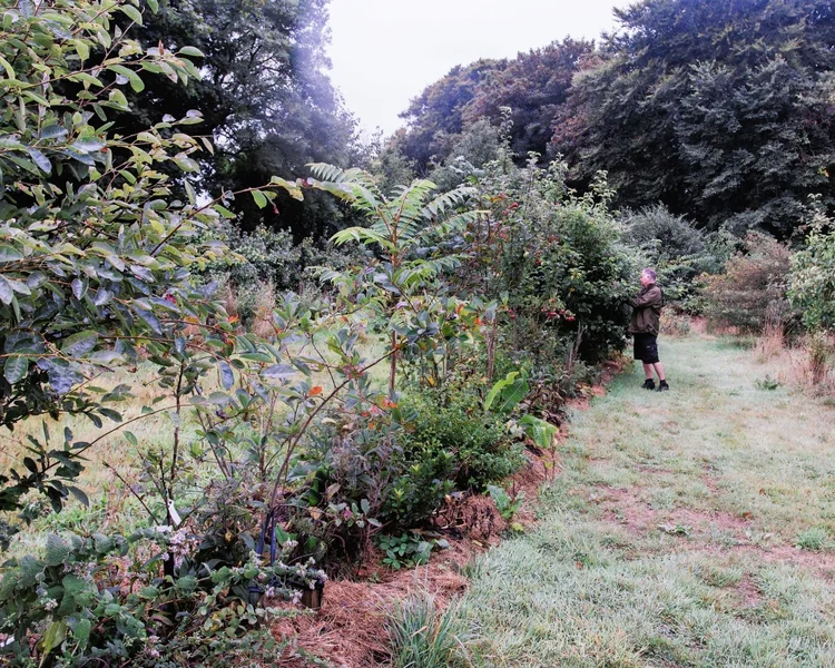 Forest Garden Courses Learn Grow Thrive Today The Forest Garden