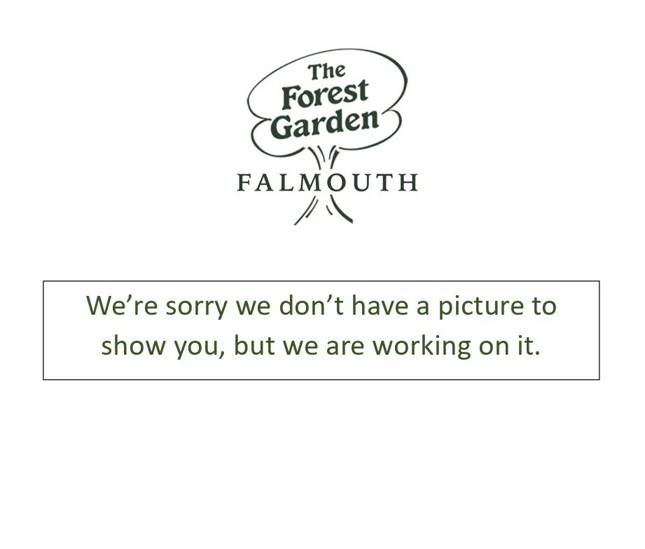 Web capture_23-10-2023_124913_.jpeg