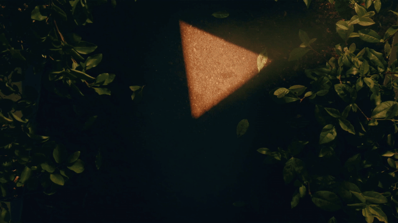 A concrete sidewalk with a carved-out triangle in sunlight, surrounded by green bushes.