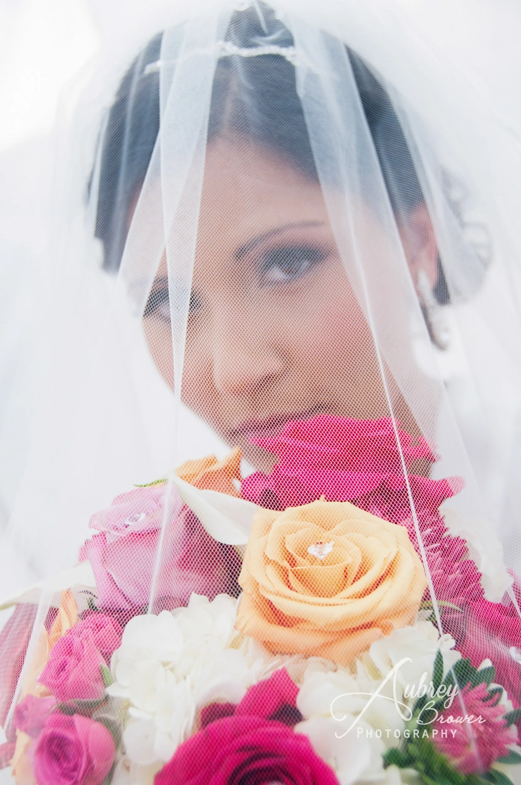 processed_Edits-33 (1).jpg