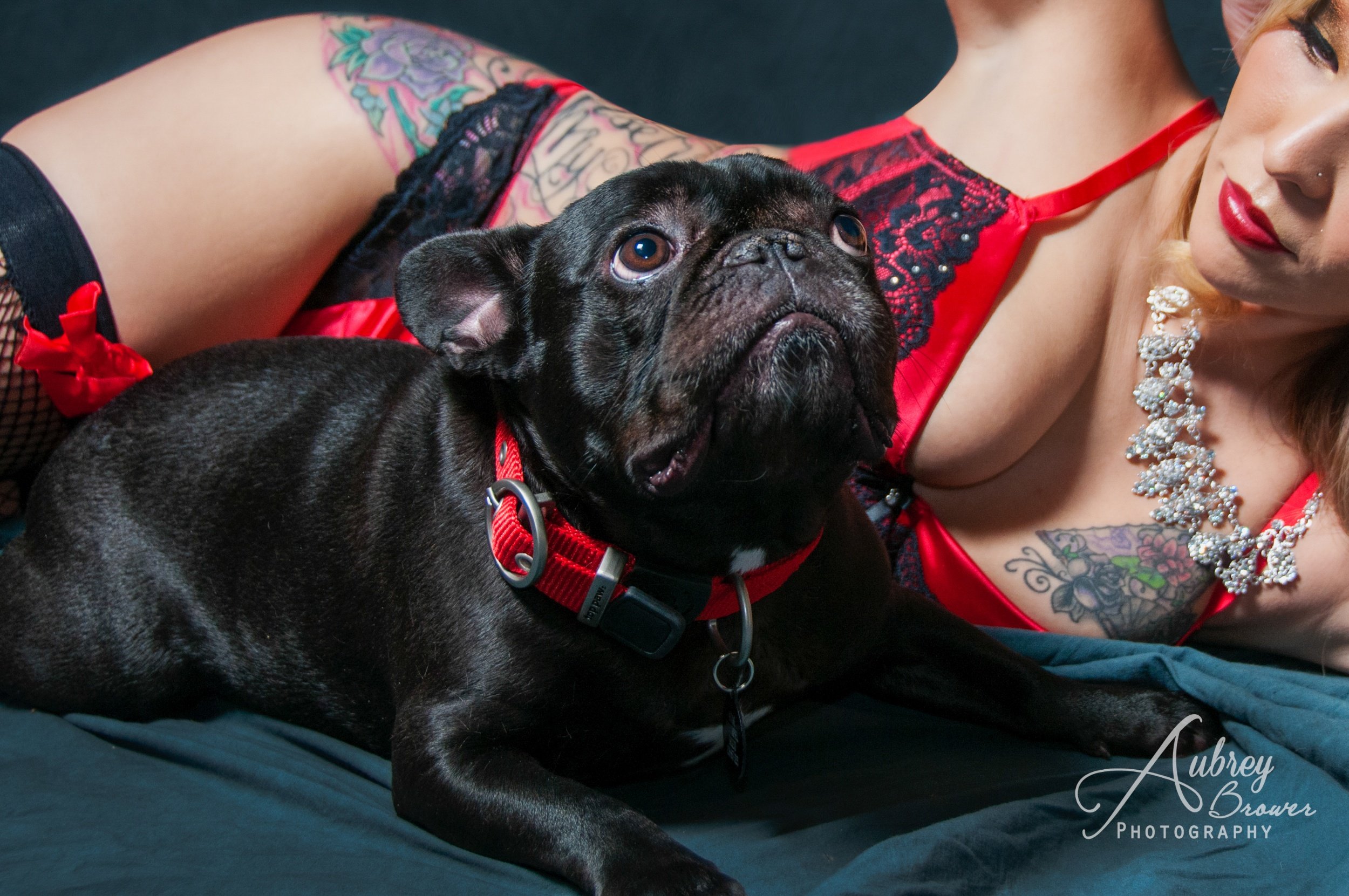 Merry Christmas Puppy Style!