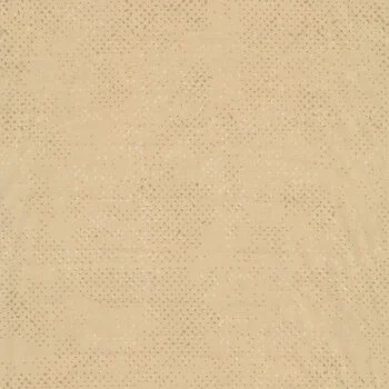 1660 81.webp