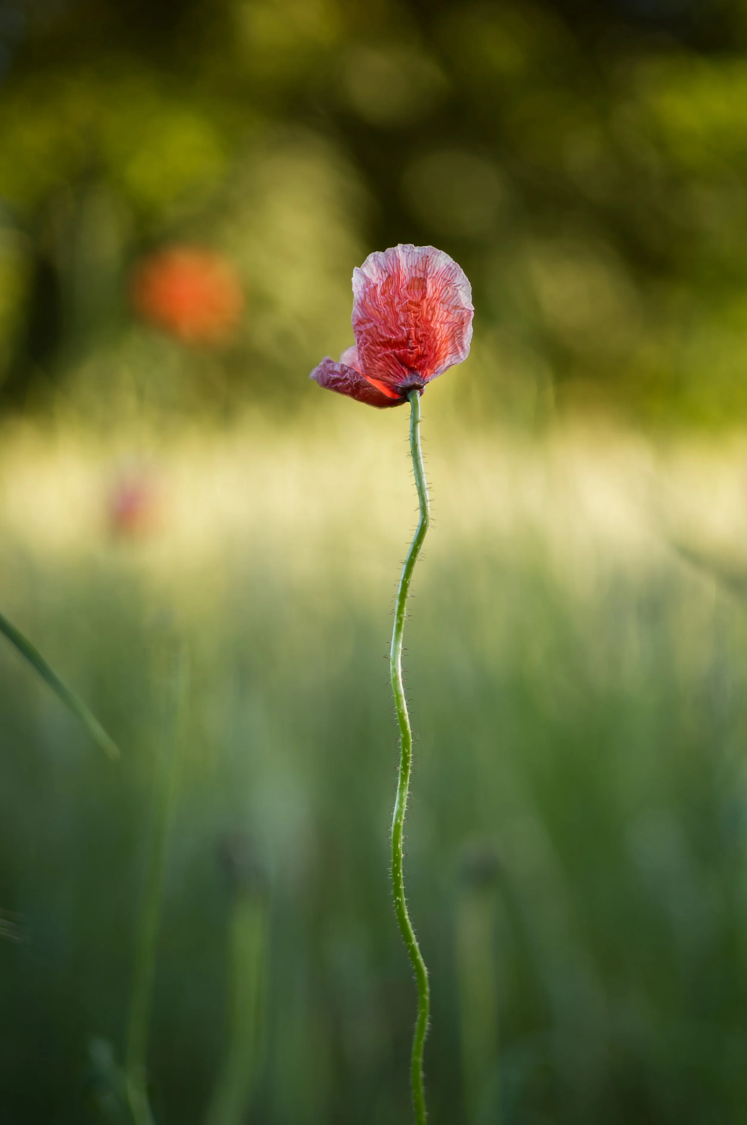 M1107207.jpg