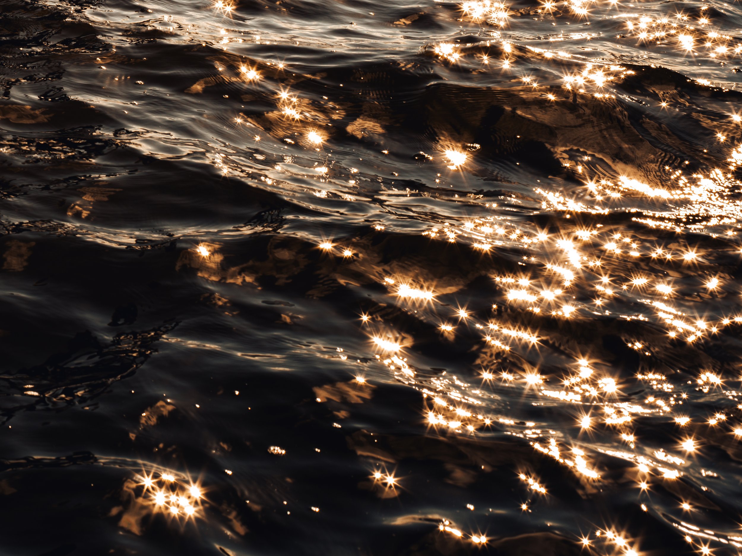 B0001437_CROP.jpg