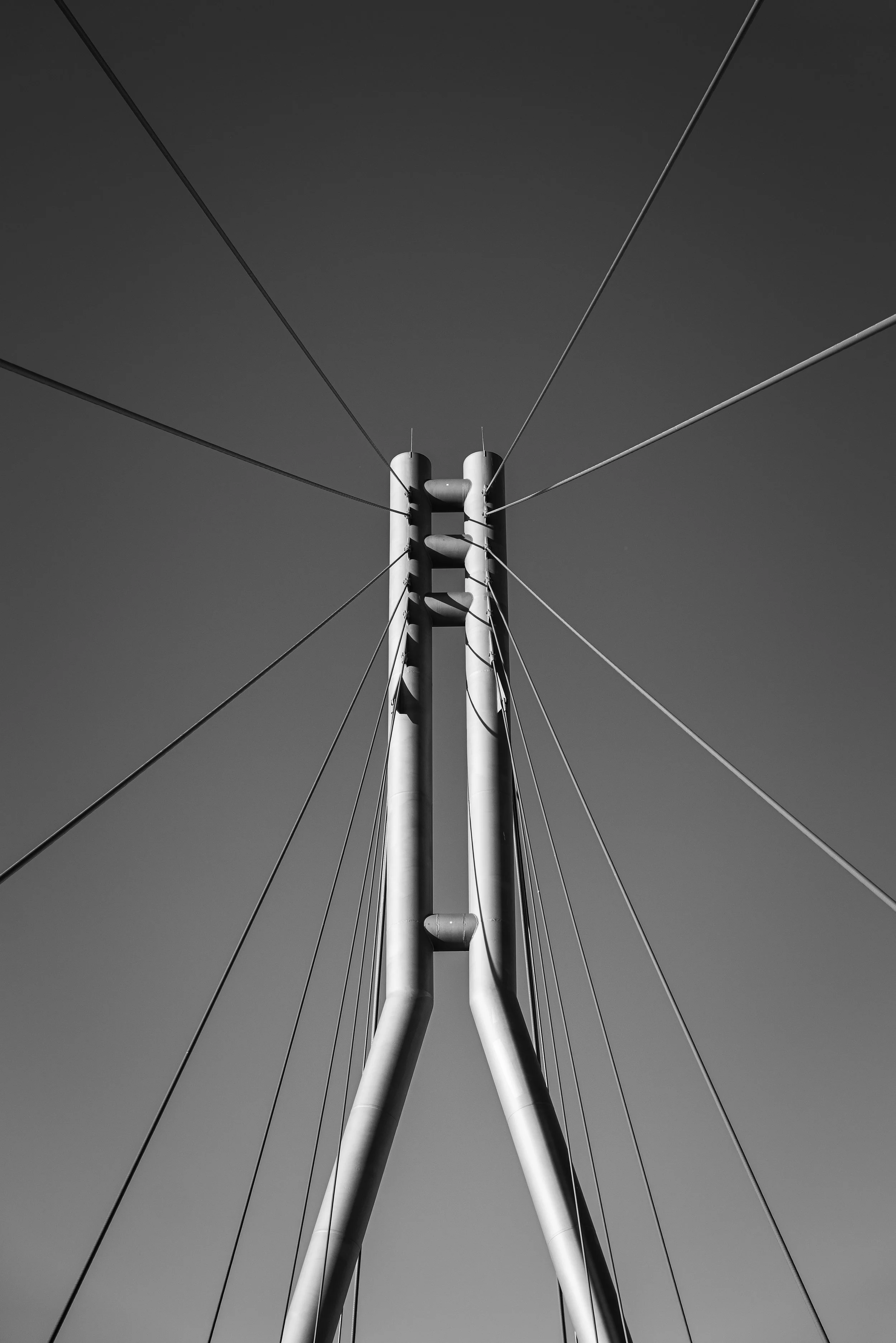 L1010409.jpg